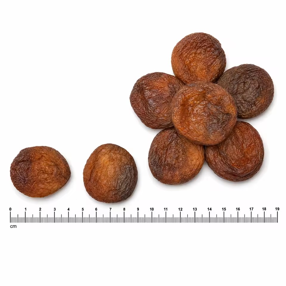 Natural Dried Apricots